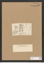 Schizonema ramosissimum Ag. (de-Toni-Nr.: Genus 20, Species 1187) Zeichnungen Sammlung Grunow Nr. 2287 (NHMW-BOT-W0369407)